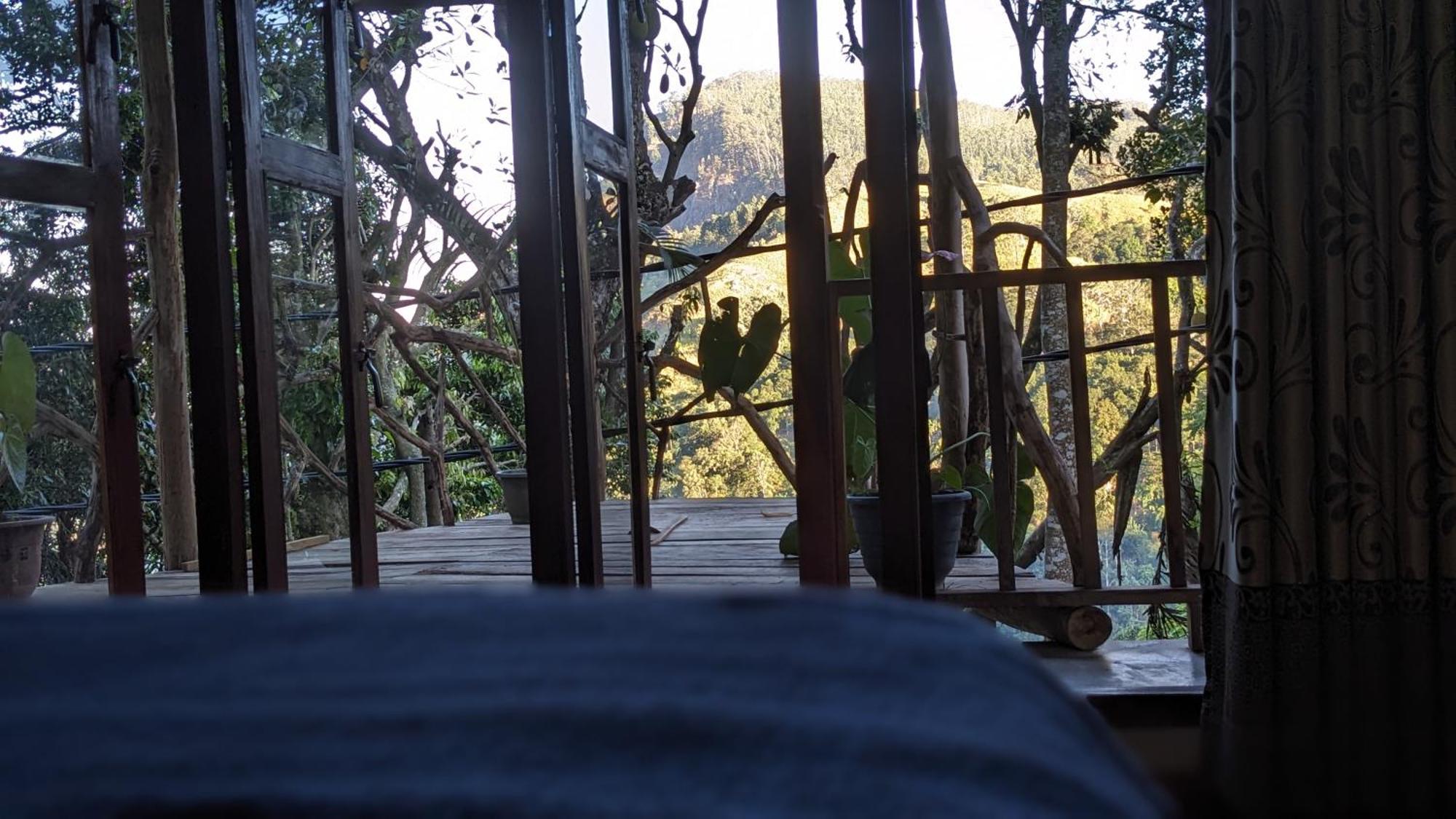 Ella Nature Nest Quarto foto
